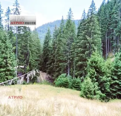 Photo 3 — Agricultural Land in Oblast Smolyan, Chepelare