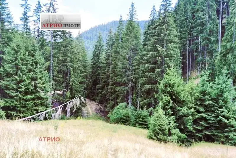 Agricultural Land in Oblast Smolyan, Chepelare