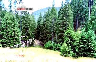 Земеделски имот в Смолян, Чепеларе
