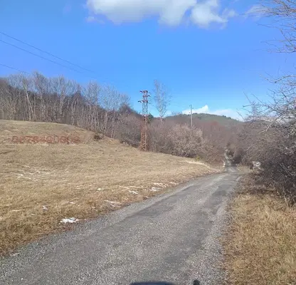 Photo 3 — Agricultural Land in Oblast Smolyan, Rudozem