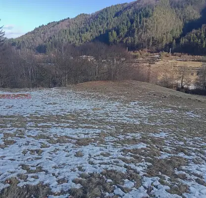 Photo 4 — Agricultural Land in Oblast Smolyan, Rudozem