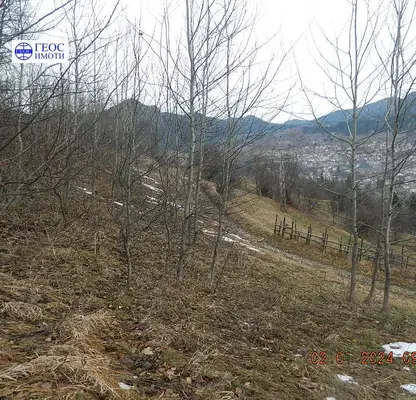 Photo 5 — Agricultural Land in Oblast Smolyan, Smolyan