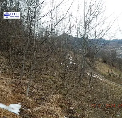 Photo 5 — Meadow in Smolyan, Smolyan