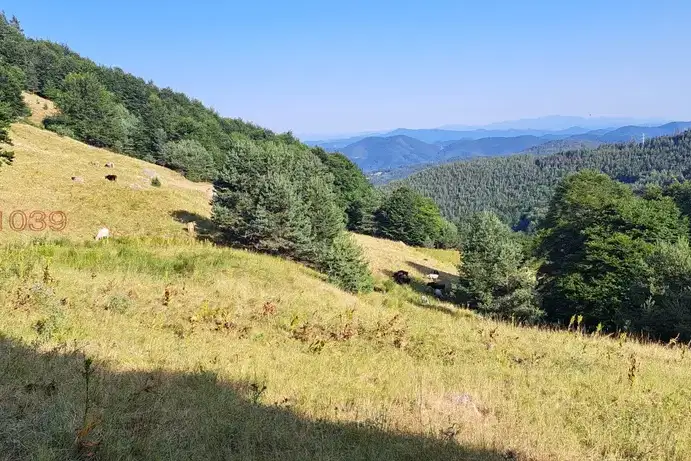Agricultural Land in Oblast Smolyan, Davidkovo
