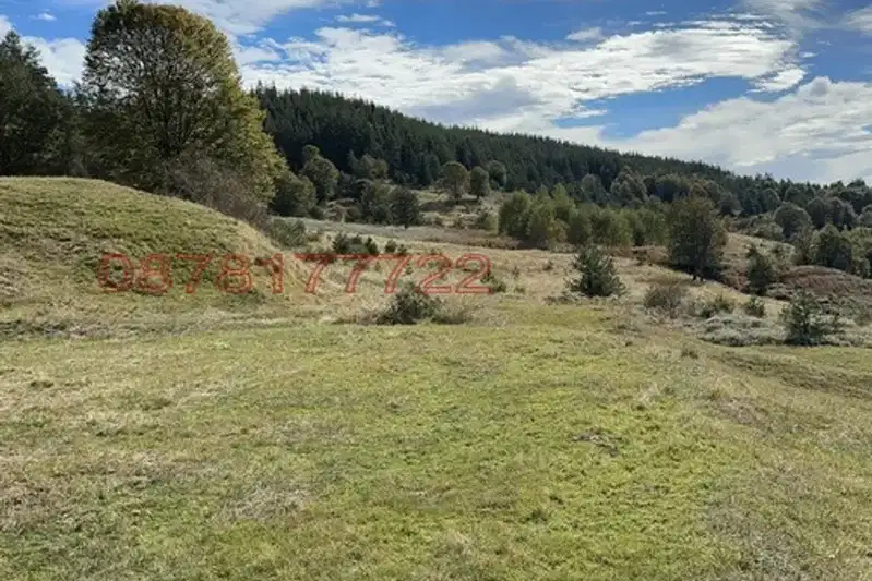 Agricultural Land in Oblast Smolyan, Davidkovo