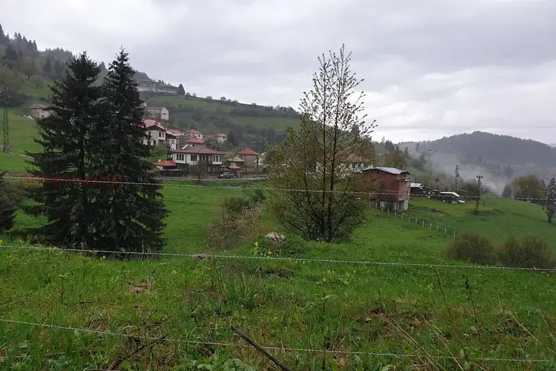 Agricultural Land in Oblast Smolyan, Gela