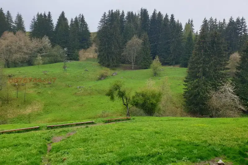 Agricultural Land in Oblast Smolyan, Gela