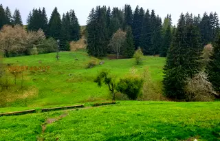 Земеделски имот в Смолян, с. Гела