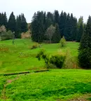 Земеделски имот в Смолян, с. Гела