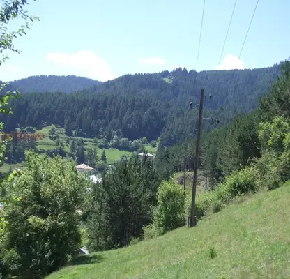 Photo 2 — Agricultural Land in Oblast Smolyan, с. Три