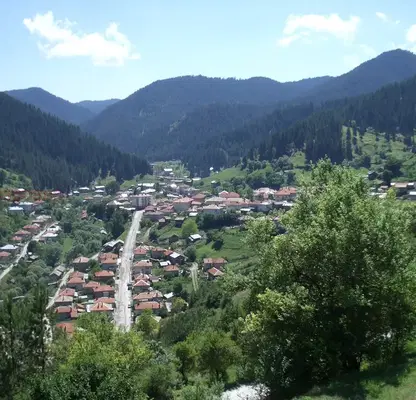 Photo 3 — Agricultural Land in Oblast Smolyan, с. Три