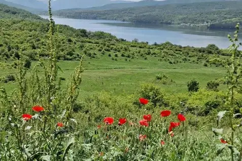 Земеделски имот в София, София