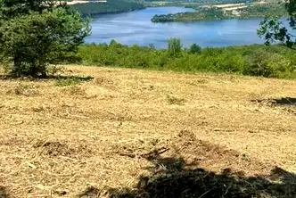 Земеделски имот в София, София