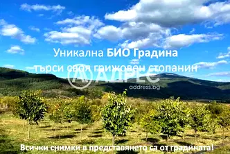 Земеделски имот в София, с. Горно Камарци