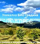 Земеделски имот в София, с. Горно Камарци