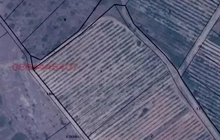 Земеделски имот в Благоевград, Сандански