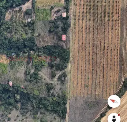 Photo 5 — Vineyard in Blagoevgrad, Rilci
