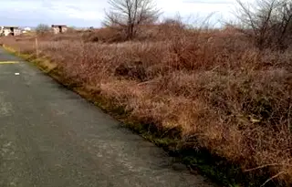 Земеделски имот в Бургас, Царево