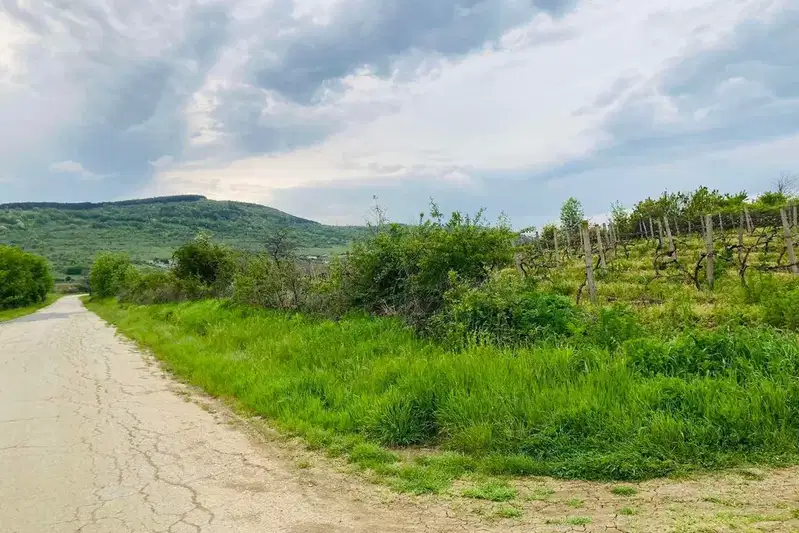 Земеделски имот в Бургас, Обзор