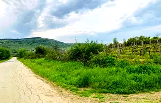 Земеделски имот в Бургас, Обзор