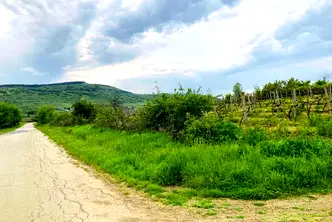 Земеделски имот в Бургас, Обзор