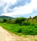 Земеделски имот в Бургас, Обзор