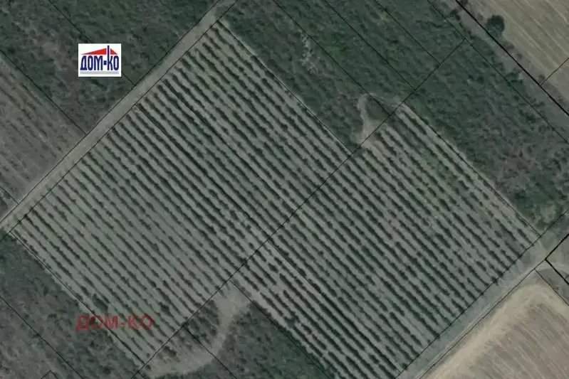 Agricultural Land in Oblast Pazardjik, с. Виноец