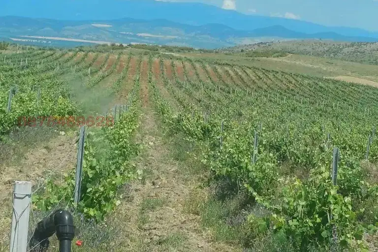 Земеделски имот в Сливен, с. Полско Пъдарево