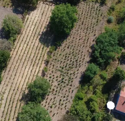 Photo 4 — Agricultural Land in Oblast Varna, Aksakovo