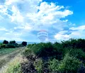 Снимка 3 — Земеделски имот във Варна, с. Константиново