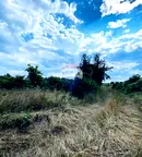 Земеделски имот във Варна, с. Константиново