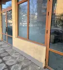 Магазин във Видин, Баба Тонка