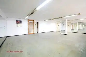 Магазин в София, Белите брези