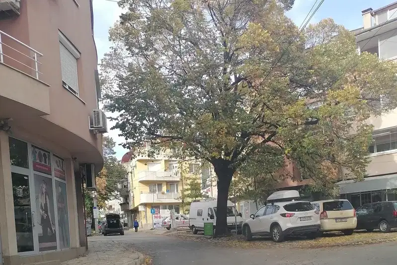 Магазин в Сливен, Център