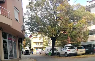 Магазин в Сливен, Център