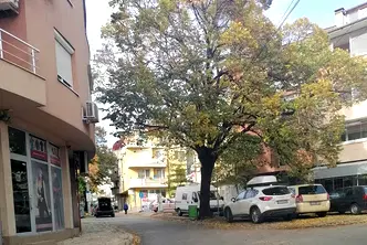 Магазин в Сливен, Център