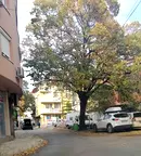 Магазин в Сливен, Център