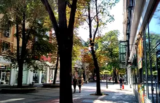 Магазин в Пловдив, Център