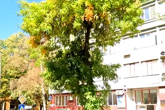 Магазин в Кърджали, Център