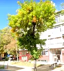 Магазин в Кърджали, Център