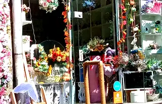 Магазин в София, Център