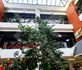 Снимка 2 — Магазин в Пловдив, Център