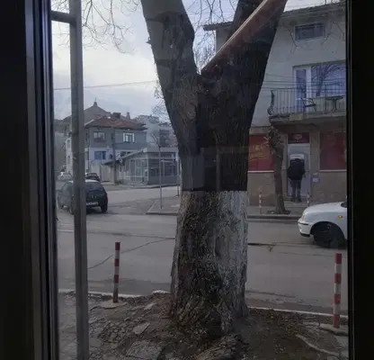 Снимка 5 — Магазин в Шумен, Гривица