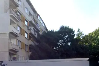 Магазин в София, Изток