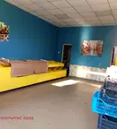 Магазин в Перник, Проучване