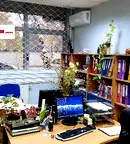 Магазин в Русе, Възраждане
