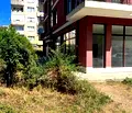 Снимка 3 — Магазин в Кърджали, Възрожденци