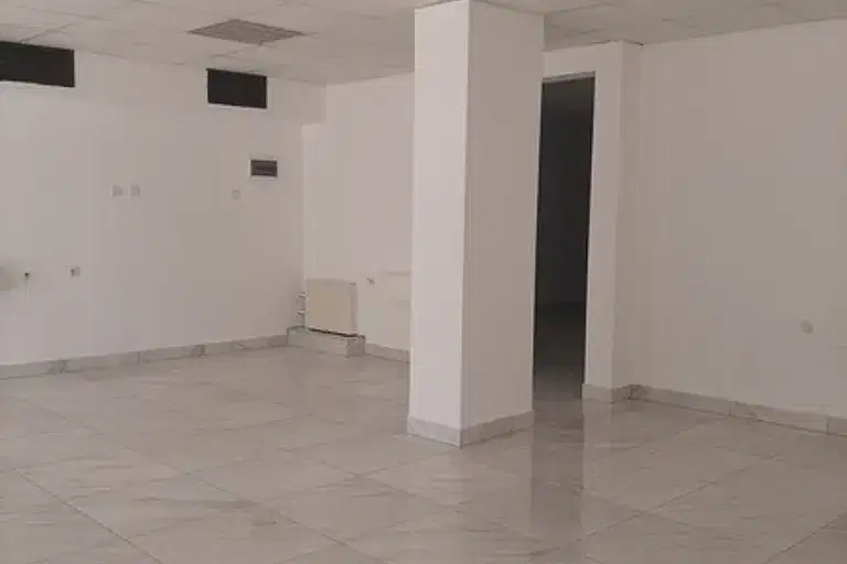 Shop in Kyrdjali, Vyzrojdenci