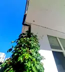Магазин в Бургас, Поморие