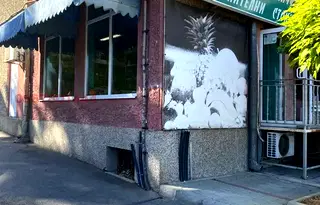 Магазин в Габрово, Дряново